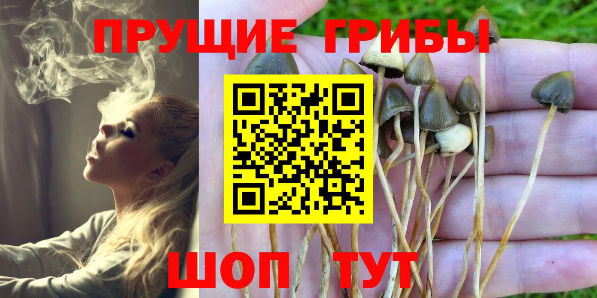 Псилоцибиновые грибы мухоморы  Вход с VPN  Петрозаводск 